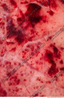 Photo Textures of RAW Pork Meat
